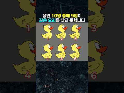 <strong>성인</strong> 10명 중에 9명이 같은 오리를 찾지 못합니다.