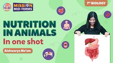 Nutrition in Animals Class 7 Science in One shot (Chapter 2) | BYJU