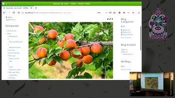 From 0 to Intranet in 20 minutes with XWiki