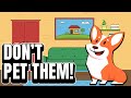 7 Things To Know Before Buying A Corgi Dog