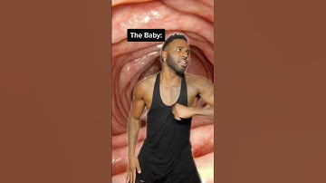 Thumbnail of Me in the womb