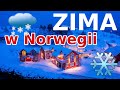 Zima na południu Norwegii. Sandefjord 2023