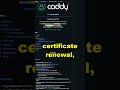 Caddy - Web Server With Automatic HTTPS (Finally) #shorts #https