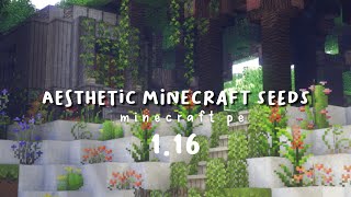Most aesthetic Minecraft seeds for your builds