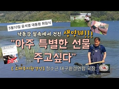 펄 속에서 캐낸 생명체...&amp;quot;윤 대통령 취임 선물로 주고싶다&amp;quot;