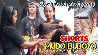 Download Lagu Short Kesenian kuda kepang Mudo Budoyo | wahyu kolosebo penonton kesurup*an MP3
