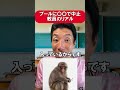 プールに〇〇で中止　教員のリアル#あるある