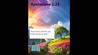 Apocalipse 2.25