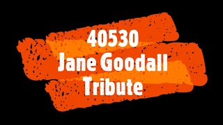 40530 | Jane Goodall Tribute (speed build)