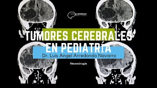 Luis Angel Arredondo Navarro-14