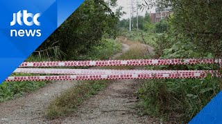 DMZ 야생 멧돼지 사체서 아프리카돼지열병 바이러스 검출