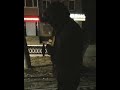 Когда ты побежден. Нужно мужество... Чтобы начать сначала.  #🎧 Olafur Arnalds - Fire Fire