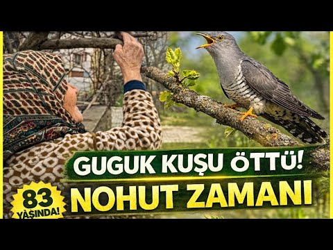 83 Yaşındaki Fatma Abla: Guguk Kuşu Ötmeden Nohut Ekmem!