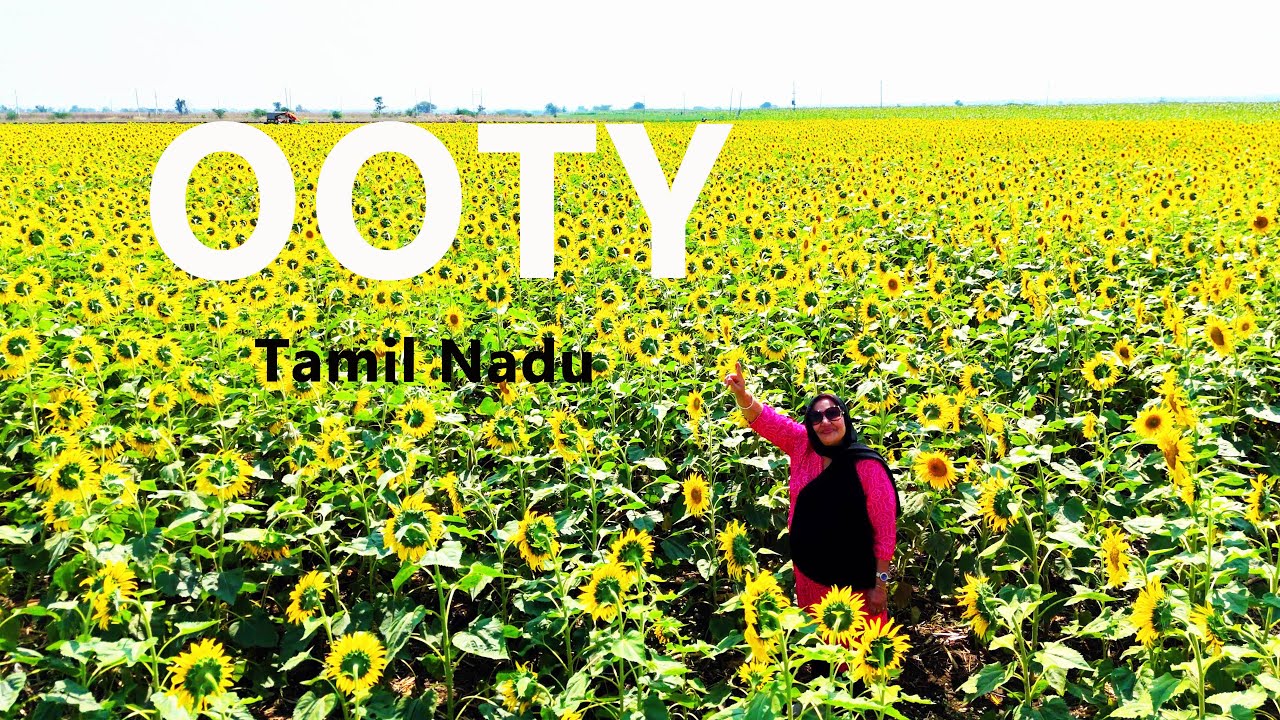 OOTY | TAMIL NADU | SOUTH INDIA | TOUR | PART 3 | LATIF KHAN