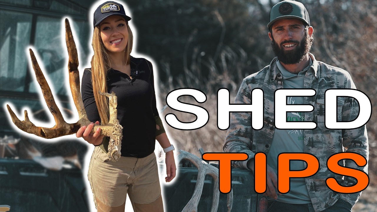Shed Hunting Tips | Flatlander