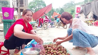 Harvest plums to sell and cook at the market. Lý Thị Chiến