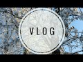 Vlog: один день со мной, болталка и прогулка по новогодней Перми