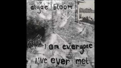 algae bloom - I am everyone I