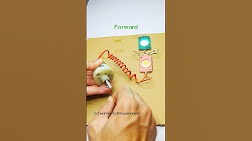 Forward Reverse Lights • Dc Motor | #dcmotor #tech #youtubeshorts #dcmotorproject