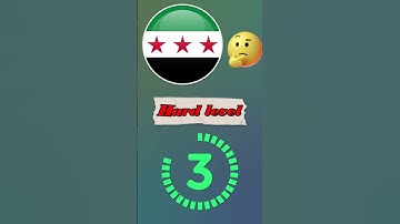 Can You Get Them All? Part 33 Guess the Flag Challenge #guesstheflag #flagquiz #WorldFlags #memes