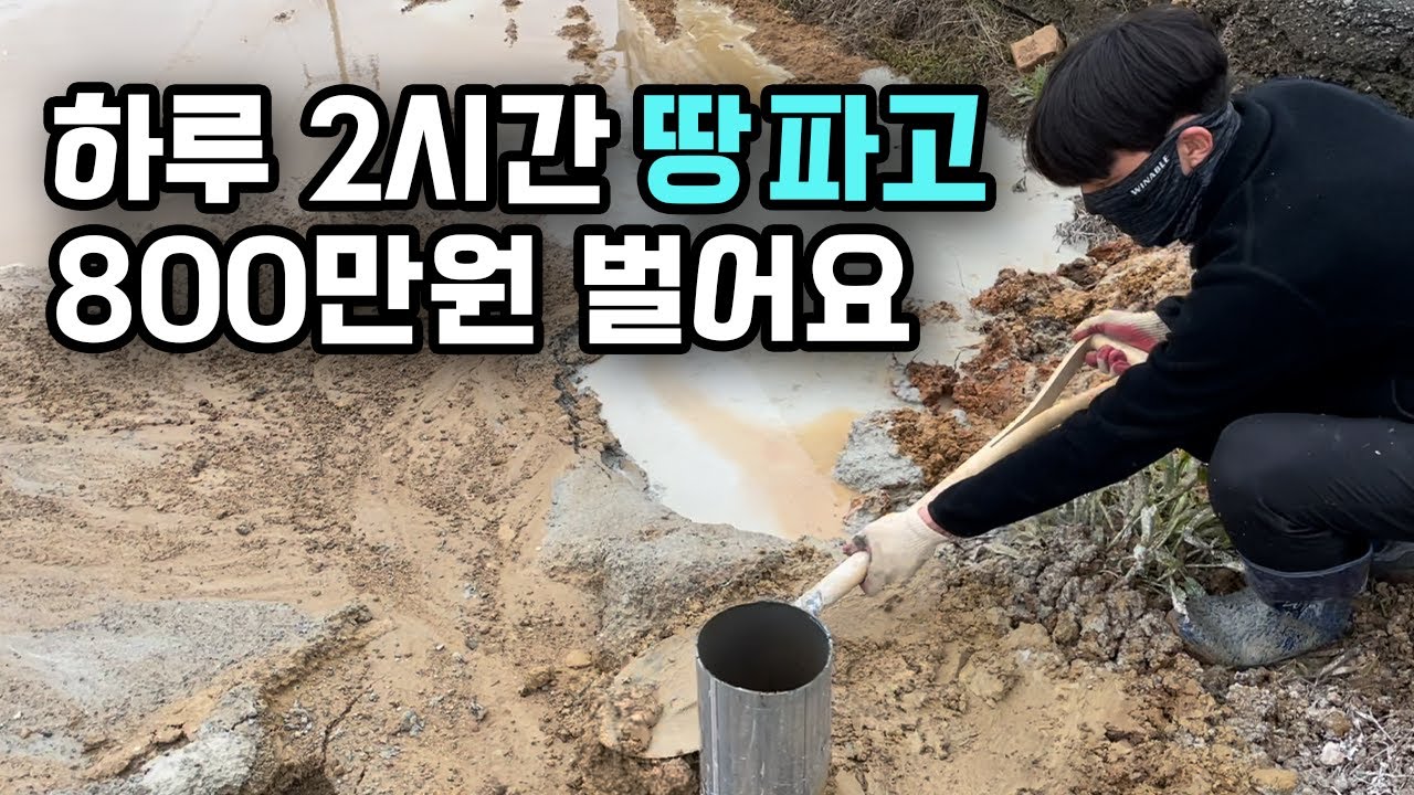 인적 드문 시골에 땅파서 하루 일당 800만 원 받는 대표님