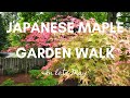 Japanese Maple Bonsai & Garden Walk in Late May