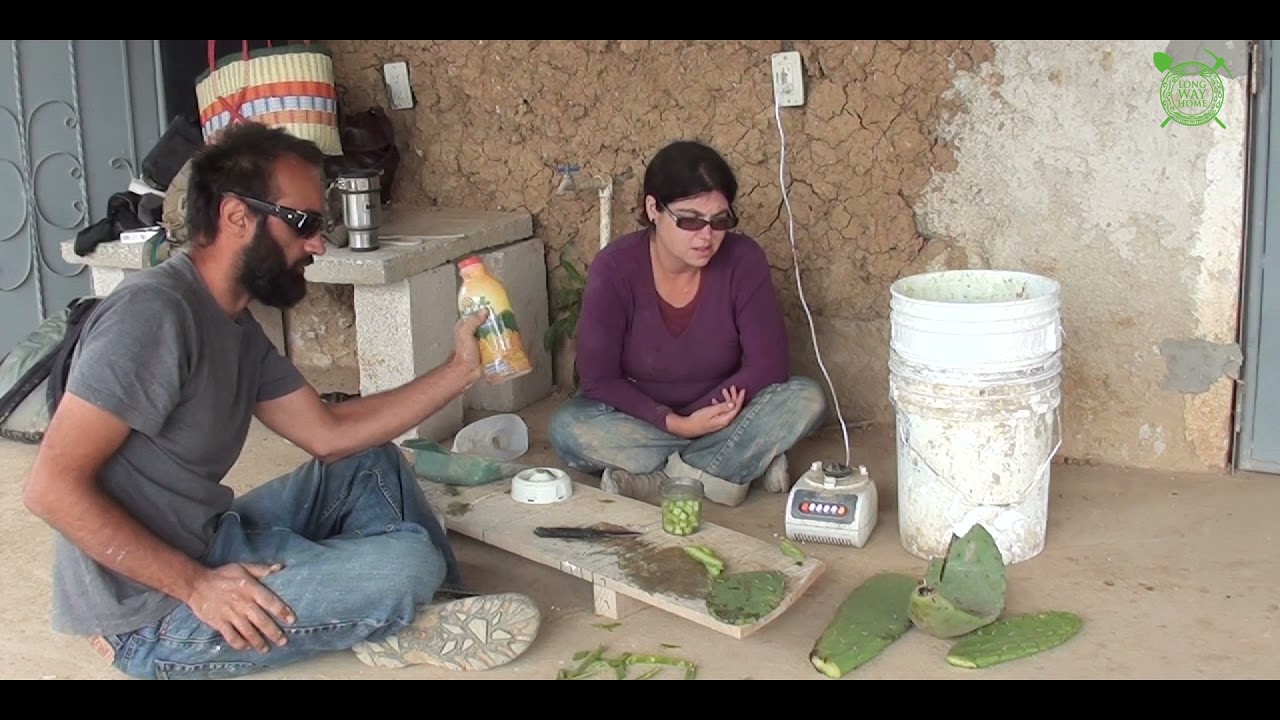 Hero School DIY - Cactus Oil Extraction