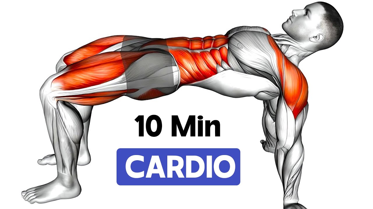 10 MIN CARDIO WORKOUT AT HOME (No Equipment) YouTube