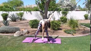 SCOTTSDALE Personal Trainer DIAGONAL TOE TOUCH