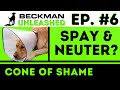 The Good, Bad &amp; Ugly of Neutering your Pet - Veterinarians Trigger Joel - Beckman Unleashed Ep. 6