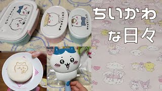 【ちいかわ】最近色々買ったもの｜お弁当箱｜まんまる焼き｜サンリオコラボ｜ヘアブラシ