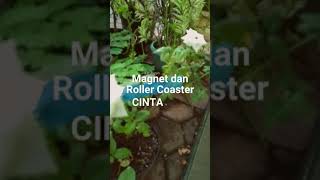 Roller Coaster Magnet Cinta