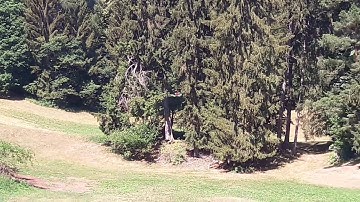 Kingkong 210mm fpv racing drone