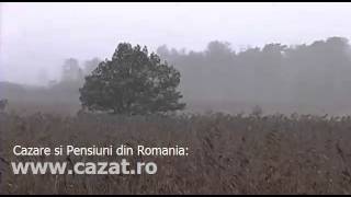 Cazare Beia, Brasov - Cazat.ro