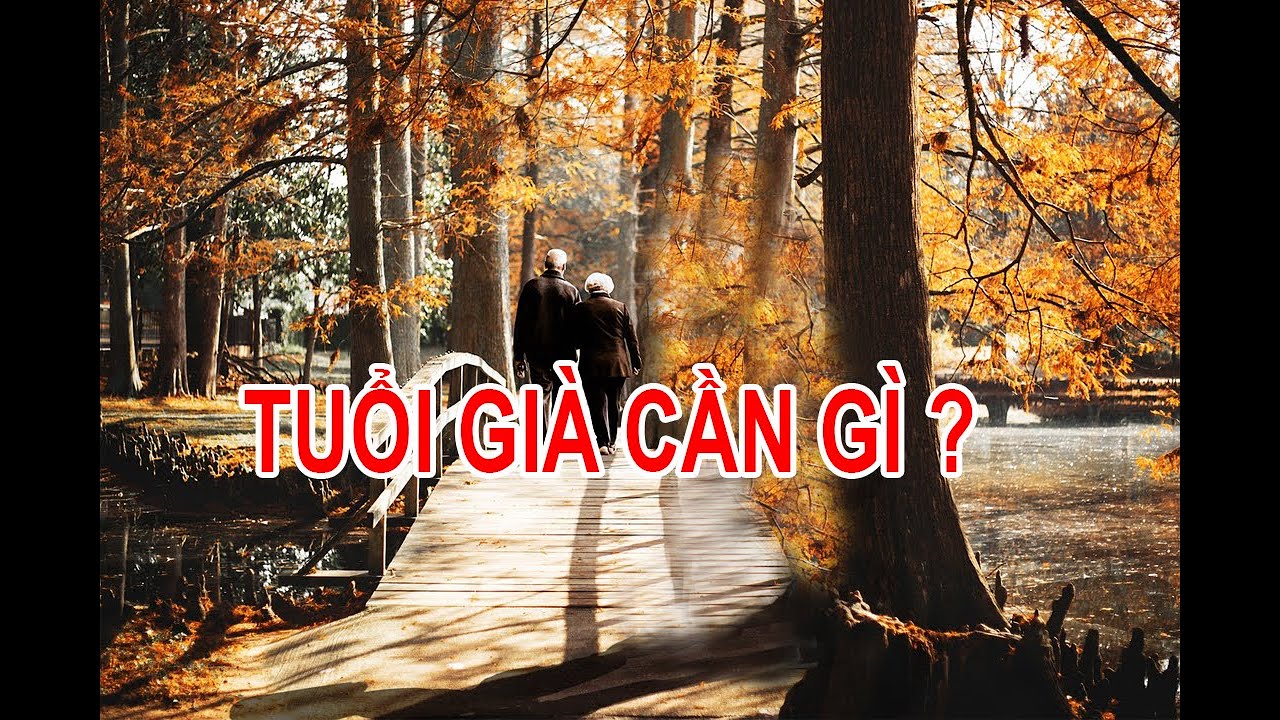 TUỔI GIÀ CẦN GÌ : CÓ PHẢI LÀ SỰ YÊN TĨNH VÀ TỰ DO ?