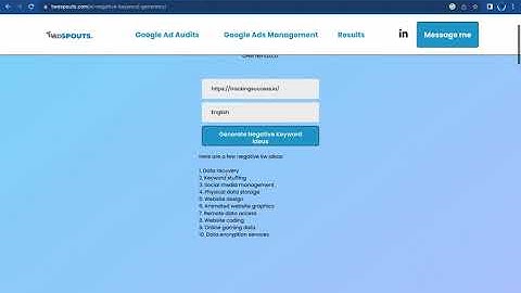 AI Google Ads Negative Keyword Generator - Google Ads Tool