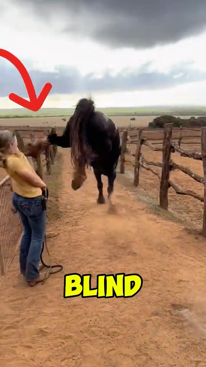 oardefault.jpg?sqp=-oaymwEkCJUDENAFSFqQAgHyq4qpAxMIARUAAAAAJQAAyEI9AICiQ3gB\u0026rs=AOn4CLDgN9bMape4HnLA_q5VIMRB3Tqo5w