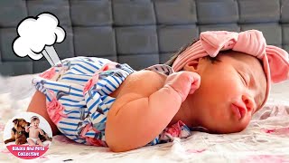 BOOM! Do You Hear Baby's Farting  Baby Funniest Fart Moments  Funny Pets Moments