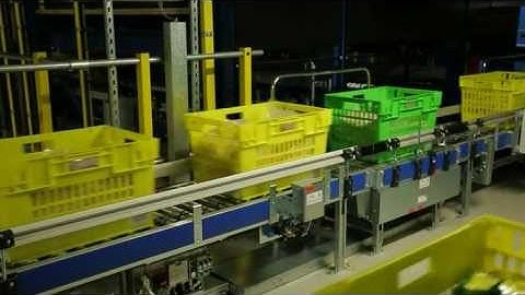 Morrisons Fit For The Future: Online Service