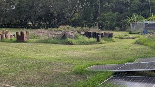 Soothing Lawn Mowing June 19th 2026, Cub Cadet Z2 54