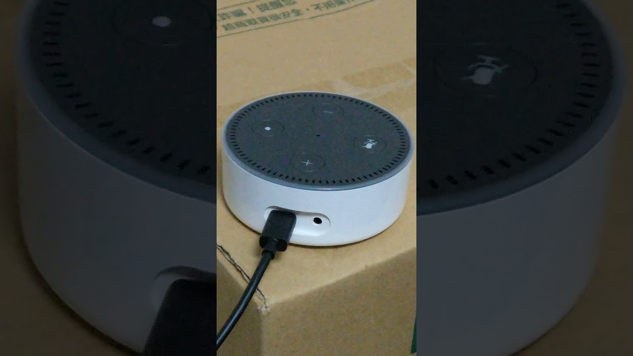 Alexa sings 