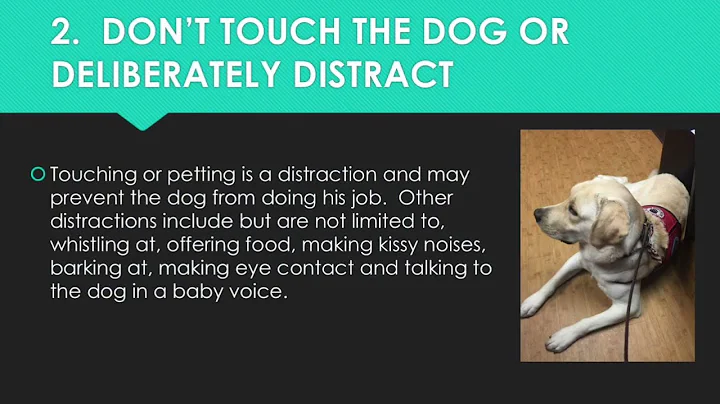 Service Dog Team info