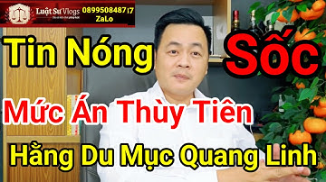🔴 Mức Án Dành Cho Nguyễn Thúc Thùy Tiên Hằng Du Mục Quang Linh VLogs? Luật Sư Vlogs