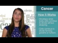 What Is - Cancer