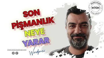 Wordpress Sitesi Taşıma - Yedekleme - Hazırlama LOCALHOST -  WPvivid Backup Plugin ( DETAYLI ) 2023