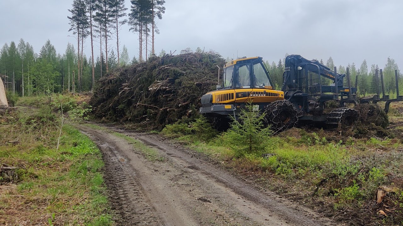 Karsimatonta energiapuuta kemera-alueelta, Ponsse Elk