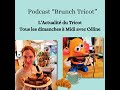 Brunch tricot  pisode 3  3 mars 2024