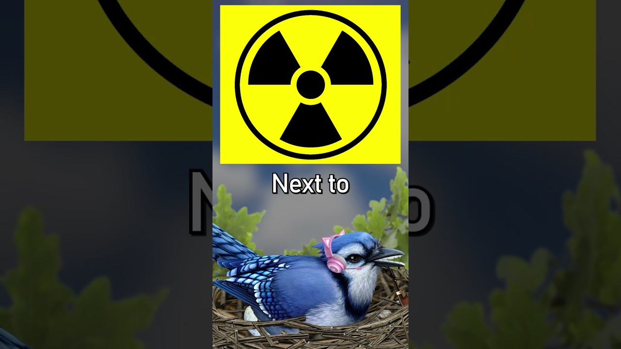 How safe are nuclear reactor plants?