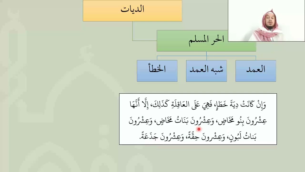 شرح عمدة الفقه - الديات - عامر بهجت