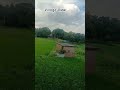 Village View